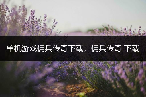 单机游戏佣兵传奇下载，佣兵传奇 下载