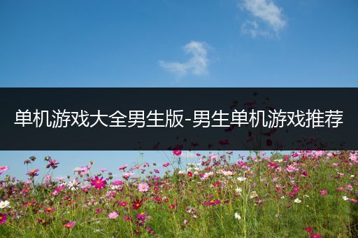 单机游戏大全男生版-男生单机游戏推荐