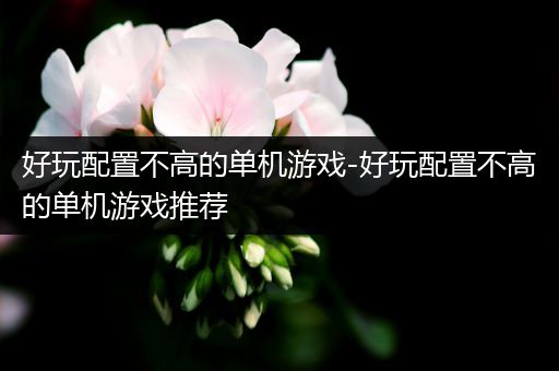 好玩配置不高的单机游戏-好玩配置不高的单机游戏推荐