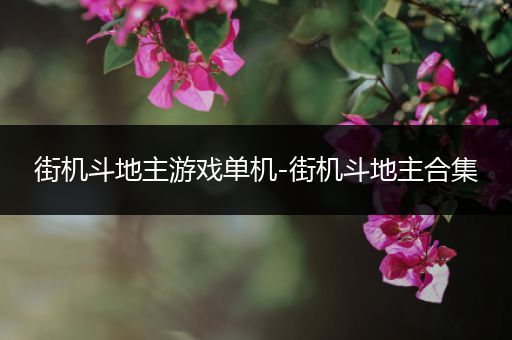 街机斗地主游戏单机-街机斗地主合集