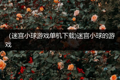 （迷宫小球游戏单机下载)迷宫小球的游戏
