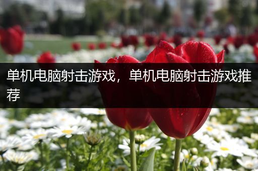 单机电脑射击游戏，单机电脑射击游戏推荐