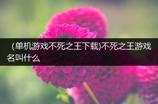 （单机游戏不死之王下载)不死之王游戏名叫什么