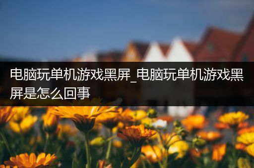 电脑玩单机游戏黑屏_电脑玩单机游戏黑屏是怎么回事