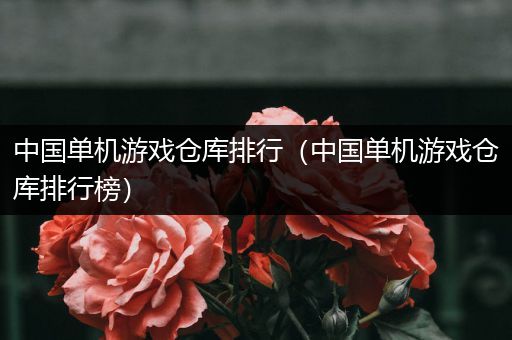 中国单机游戏仓库排行（中国单机游戏仓库排行榜）