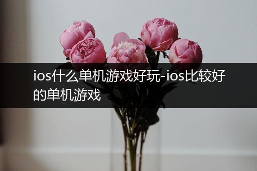 ios什么单机游戏好玩-ios比较好的单机游戏