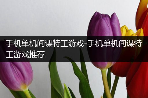 手机单机间谍特工游戏-手机单机间谍特工游戏推荐