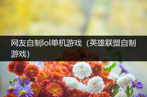 网友自制lol单机游戏（英雄联盟自制游戏）