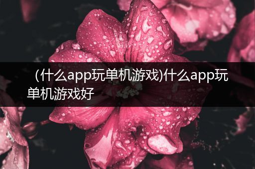 （什么app玩单机游戏)什么app玩单机游戏好