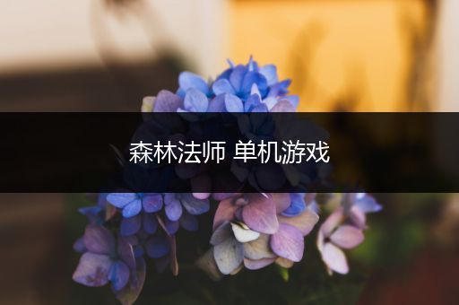 森林法师 单机游戏