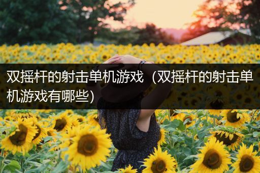 双摇杆的射击单机游戏（双摇杆的射击单机游戏有哪些）