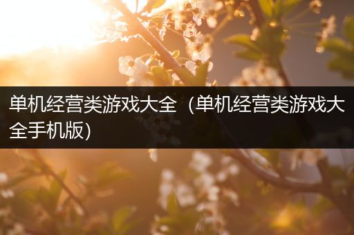 单机经营类游戏大全（单机经营类游戏大全手机版）