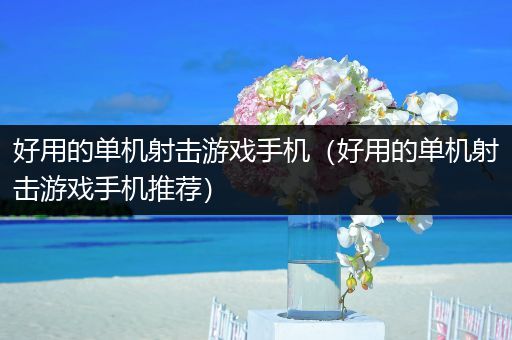 好用的单机射击游戏手机（好用的单机射击游戏手机推荐）