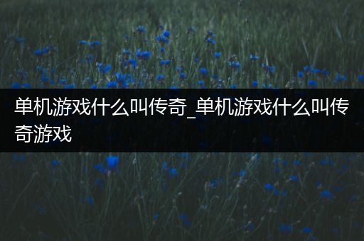 单机游戏什么叫传奇_单机游戏什么叫传奇游戏