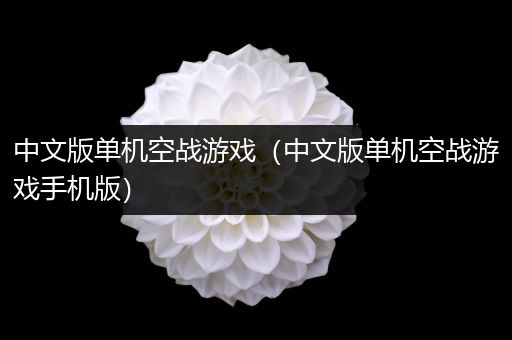 中文版单机空战游戏（中文版单机空战游戏手机版）