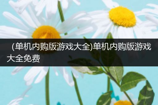 （单机内购版游戏大全)单机内购版游戏大全免费