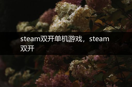 steam双开单机游戏，steam 双开
