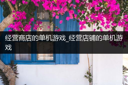 经营商店的单机游戏_经营店铺的单机游戏