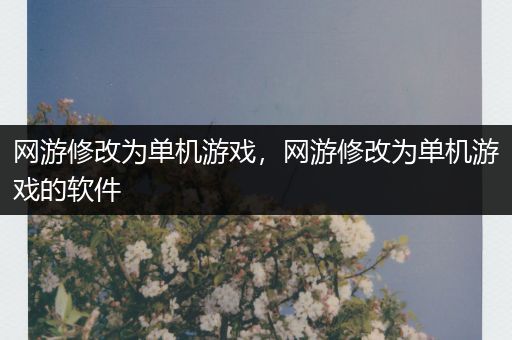 网游修改为单机游戏，网游修改为单机游戏的软件