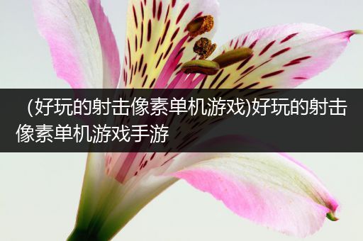 （好玩的射击像素单机游戏)好玩的射击像素单机游戏手游
