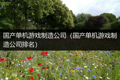 国产单机游戏制造公司（国产单机游戏制造公司排名）