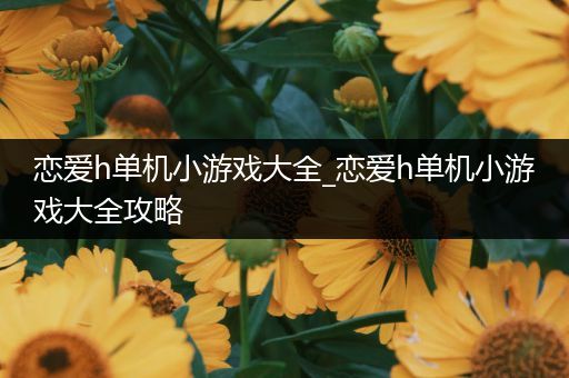 恋爱h单机小游戏大全_恋爱h单机小游戏大全攻略