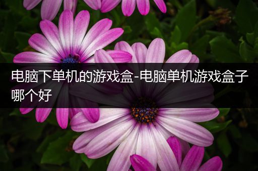 电脑下单机的游戏盒-电脑单机游戏盒子哪个好