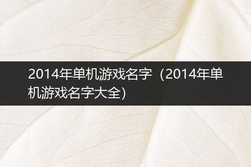 2014年单机游戏名字（2014年单机游戏名字大全）