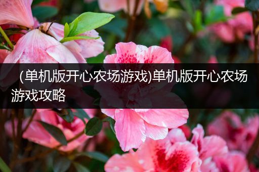 （单机版开心农场游戏)单机版开心农场游戏攻略