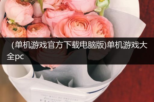 （单机游戏官方下载电脑版)单机游戏大全pc