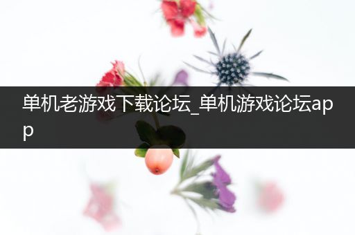 单机老游戏下载论坛_单机游戏论坛app