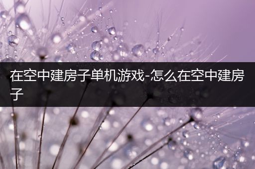 在空中建房子单机游戏-怎么在空中建房子