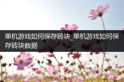 单机游戏如何保存砖块_单机游戏如何保存砖块数据