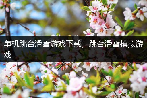 单机跳台滑雪游戏下载，跳台滑雪模拟游戏