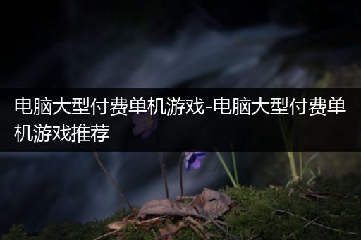 电脑大型付费单机游戏-电脑大型付费单机游戏推荐