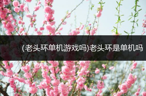 （老头环单机游戏吗)老头环是单机吗