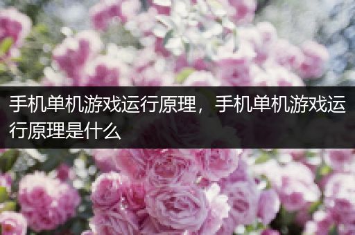 手机单机游戏运行原理，手机单机游戏运行原理是什么