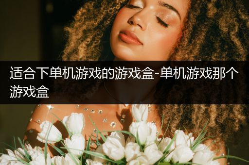 适合下单机游戏的游戏盒-单机游戏那个游戏盒