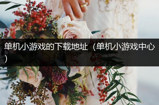 单机小游戏的下载地址（单机小游戏中心）