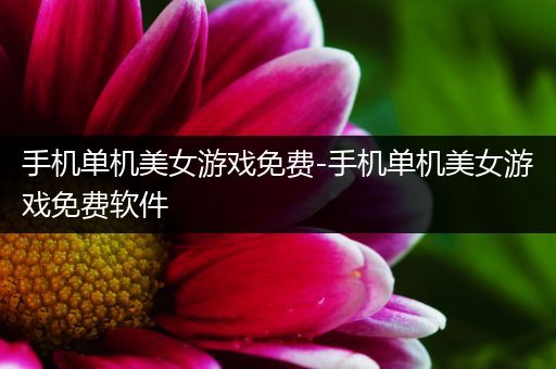 手机单机美女游戏免费-手机单机美女游戏免费软件