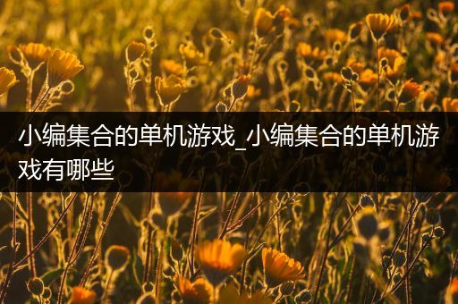 小编集合的单机游戏_小编集合的单机游戏有哪些