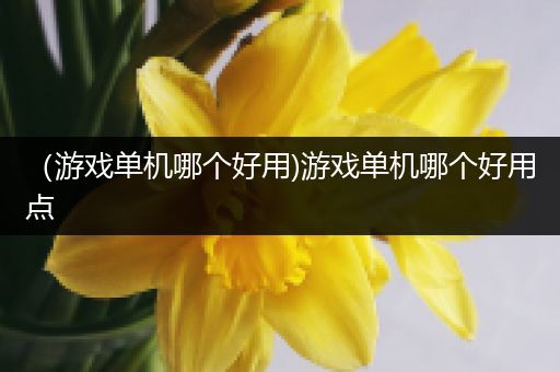 （游戏单机哪个好用)游戏单机哪个好用点