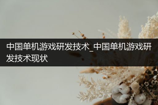 中国单机游戏研发技术_中国单机游戏研发技术现状