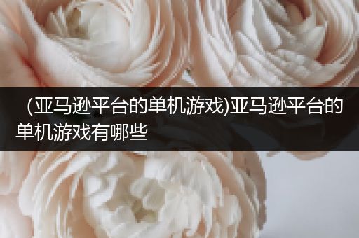 （亚马逊平台的单机游戏)亚马逊平台的单机游戏有哪些