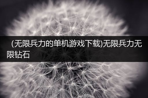 （无限兵力的单机游戏下载)无限兵力无限钻石