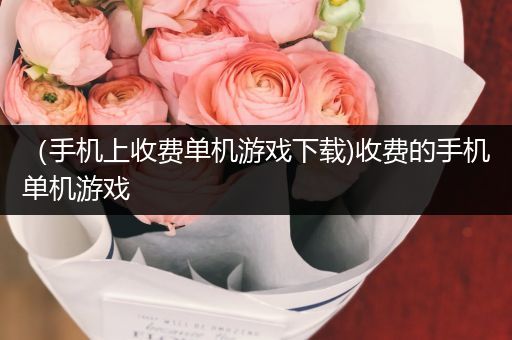 （手机上收费单机游戏下载)收费的手机单机游戏