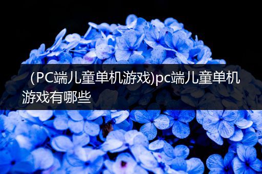 （PC端儿童单机游戏)pc端儿童单机游戏有哪些