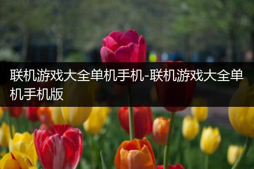 联机游戏大全单机手机-联机游戏大全单机手机版