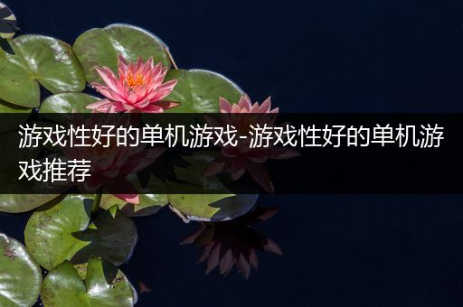 游戏性好的单机游戏-游戏性好的单机游戏推荐