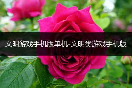 文明游戏手机版单机-文明类游戏手机版